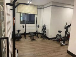 https://img.olx.com.br/thumbs256x256/14/142591274548029.jpg