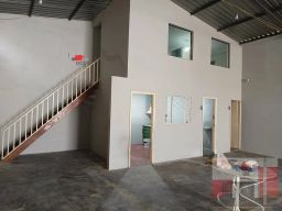 https://img.olx.com.br/thumbs256x256/14/142696555851802.jpg