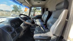 https://img.olx.com.br/thumbs256x256/14/143461444386197.jpg