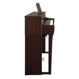https://img.olx.com.br/thumbs256x256/14/143495314799046.jpg