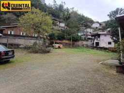 https://img.olx.com.br/thumbs256x256/14/143505512973995.jpg
