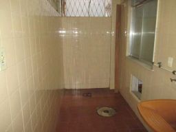 https://img.olx.com.br/thumbs256x256/14/143513130511208.jpg