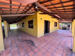 https://img.olx.com.br/thumbs256x256/14/143528365376471.jpg