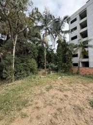 https://img.olx.com.br/thumbs256x256/14/143551049887017.jpg