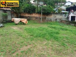 https://img.olx.com.br/thumbs256x256/14/143571759451128.jpg