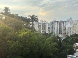 https://img.olx.com.br/thumbs256x256/14/144506750442255.jpg