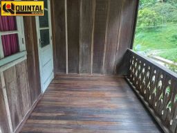 https://img.olx.com.br/thumbs256x256/14/145542639216431.jpg