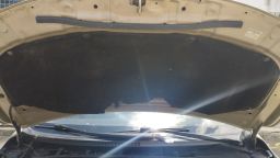 https://img.olx.com.br/thumbs256x256/14/145573744953286.jpg
