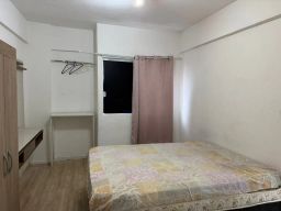 https://img.olx.com.br/thumbs256x256/14/145592527536387.jpg