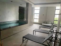 https://img.olx.com.br/thumbs256x256/14/146507159610906.jpg