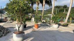 https://img.olx.com.br/thumbs256x256/14/146527640634520.jpg