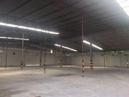 https://img.olx.com.br/thumbs256x256/14/146655794730531.jpg