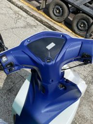 https://img.olx.com.br/thumbs256x256/14/147497421756111.jpg