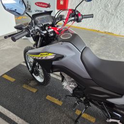 https://img.olx.com.br/thumbs256x256/14/147578159007445.jpg