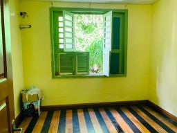 https://img.olx.com.br/thumbs256x256/14/147596284652798.jpg