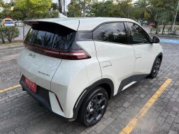 https://img.olx.com.br/thumbs256x256/14/147661811977207.jpg