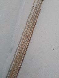 Título do anúncio: Vende-se 5 varas de bambu para pescaria.