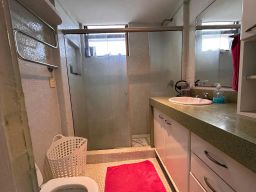 https://img.olx.com.br/thumbs256x256/15/150520160465569.jpg