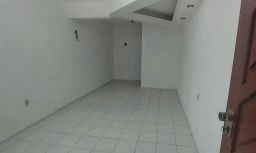 https://img.olx.com.br/thumbs256x256/15/150554165278430.jpg