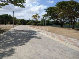 https://img.olx.com.br/thumbs256x256/15/152529163131797.jpg
