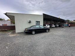 https://img.olx.com.br/thumbs256x256/15/152549143330567.jpg