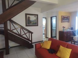 https://img.olx.com.br/thumbs256x256/15/152561645701614.jpg