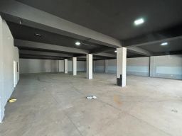 https://img.olx.com.br/thumbs256x256/15/152678670587369.jpg