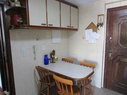 https://img.olx.com.br/thumbs256x256/15/153115095208089.jpg