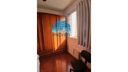 https://img.olx.com.br/thumbs256x256/15/153536526404219.jpg