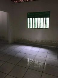 https://img.olx.com.br/thumbs256x256/15/153551644624286.jpg
