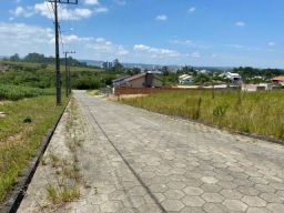 https://img.olx.com.br/thumbs256x256/15/153596615522593.jpg