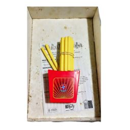 https://img.olx.com.br/thumbs256x256/15/153602125022406.jpg