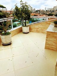 https://img.olx.com.br/thumbs256x256/15/153671668847925.jpg