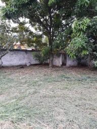 https://img.olx.com.br/thumbs256x256/15/154415285040487.jpg