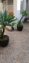 https://img.olx.com.br/thumbs256x256/15/154502648333951.jpg