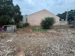 https://img.olx.com.br/thumbs256x256/15/154592753479751.jpg