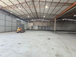 https://img.olx.com.br/thumbs256x256/15/154606063404926.jpg