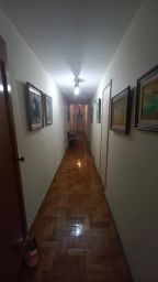 https://img.olx.com.br/thumbs256x256/15/155401584677946.jpg