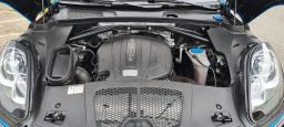 https://img.olx.com.br/thumbs256x256/15/155434796448165.jpg