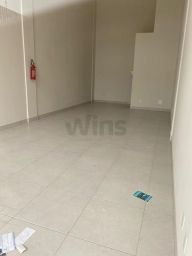 https://img.olx.com.br/thumbs256x256/15/155537521763055.jpg
