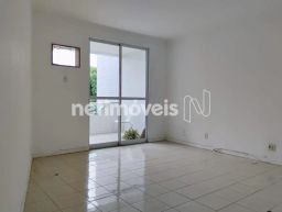 https://img.olx.com.br/thumbs256x256/15/155573277487772.jpg