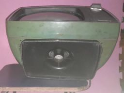 https://img.olx.com.br/thumbs256x256/15/155591406944453.jpg