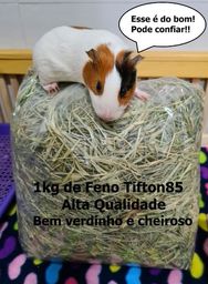 Título do anúncio: 1kg de Feno Tifton. Coelho, Hamster e Porquinho da Índia. Entrego em Recife e Arco Verde