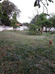 https://img.olx.com.br/thumbs256x256/15/156444285315164.jpg