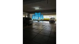 https://img.olx.com.br/thumbs256x256/15/156589043581438.jpg