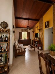 https://img.olx.com.br/thumbs256x256/15/156634291499414.jpg
