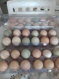 Título do anúncio: Ovos caipira (entregamos em Muriaé) 