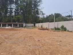 https://img.olx.com.br/thumbs256x256/15/157447201844423.jpg