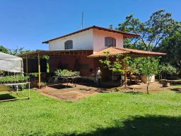 https://img.olx.com.br/thumbs256x256/15/157535161875628.jpg