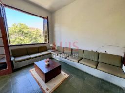 https://img.olx.com.br/thumbs256x256/15/158507165969572.jpg